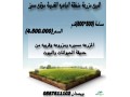 llbyaa-mzraah-mntk-albahyh-alkdym-mokaa-mmyz-small-0