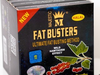 fat-bastrz-lltkhsys-fat-busters