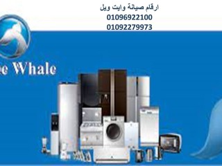 khdm-aamlaaa-oayt-oyl-alaayat-01060037840