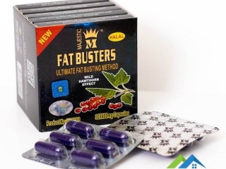 fat-bastrz-lltkhsys-fat-busters