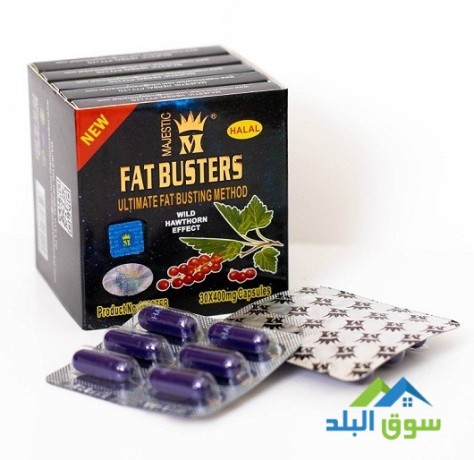 fat-bastrz-lltkhsys-fat-busters-big-0