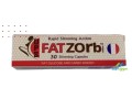 fat-zorb-lltkhsys-fat-zorb-small-0