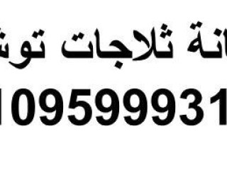 شكاوى اصلاح ثلاجة توشيبا الاسماعيلية 01093055835