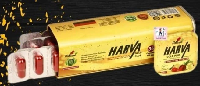 harfa-gold-bls-lltkhsys-harva-gold-plus-big-0