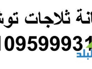 اتصل الان اصلاح ثلاجات توشيبا الباجور 01112124913