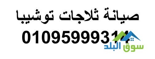 atsl-alan-aslah-thlagat-toshyba-albagor-01112124913-big-0