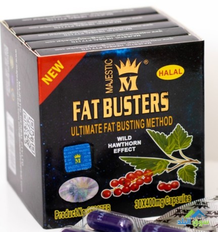 fat-bastrz-lankas-alozn-fat-busters-big-0