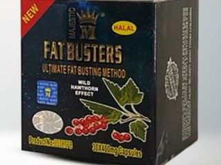 lltkhsys-fat-bastrz-fat-busters