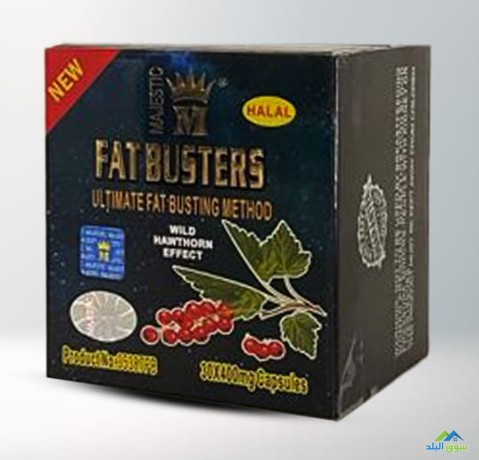 lltkhsys-fat-bastrz-fat-busters-big-0