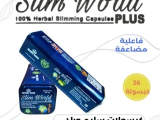 lltkhsys-slym-orld-bls-slim-world-plus