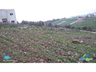 ارض للبيع في السرو - قرب مسجد اسكان طيبة