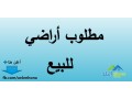 shk-llbyaa-fy-khlda-hy-alkhaldyn-khlf-mdrs-akadymy-aaman-small-0