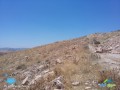 ard-llbyaa-fy-zynat-alrboaa-alshkar-tbaad-2-km-aan-trkhys-shfa-bdran-small-3