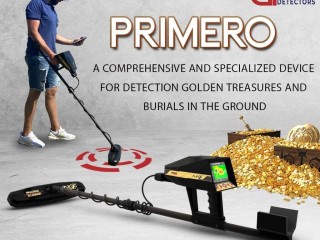 gold-detector-ajax-primero