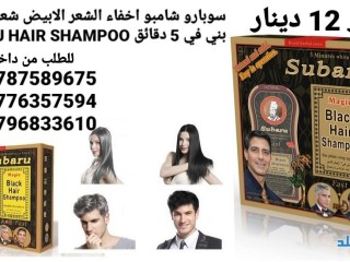 shambo-alshyb-sobaro-shambo-akhfaaa-alshaar-alabyd