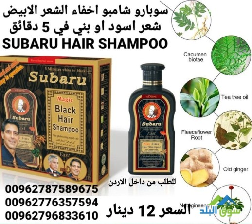 shambo-alshyb-sobaro-shambo-akhfaaa-alshaar-alabyd-big-3