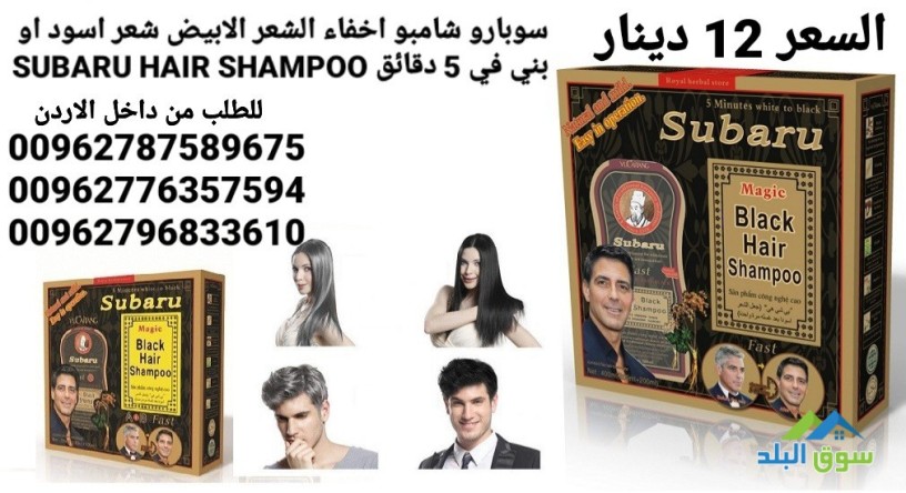 shambo-alshyb-sobaro-shambo-akhfaaa-alshaar-alabyd-big-0