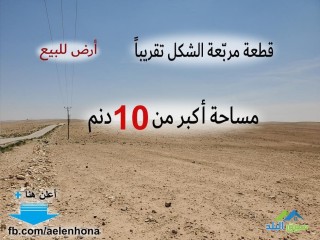 ard-llbyaa-fy-almokr-alfalg-alshrky-tbaad-7km-aan-almaahd-almrory-alardny