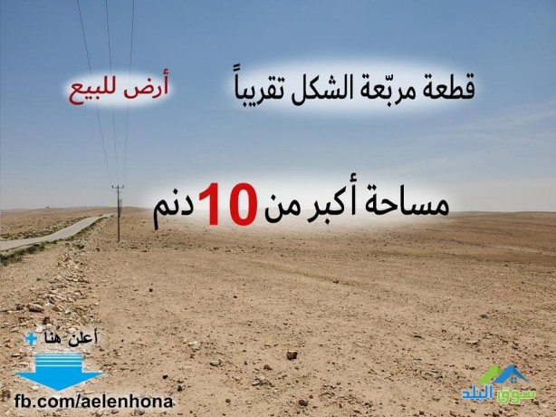 ard-llbyaa-fy-almokr-alfalg-alshrky-tbaad-7km-aan-almaahd-almrory-alardny-big-0