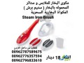 almkoa-albkhary-alshry-mko-albkhar-llmlabs-o-stayr-almhmolh-balbkhar-stym-brsh-steam-iron-brush-small-2