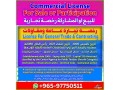 commercial-licenses-for-sale-or-participation-small-0