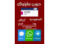 hbob-saytotyk-fy-alryad-alsaaody-0581784106-hbob-llaghad-fy-alryad-llbyaa-small-0