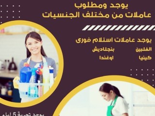 yogd-omtlob-aaamlat-otbakhat-lltnazl-mn-gmyaa-algnsyat-0573088658